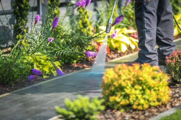  Minnetrista, MN Pressure Washing Pros